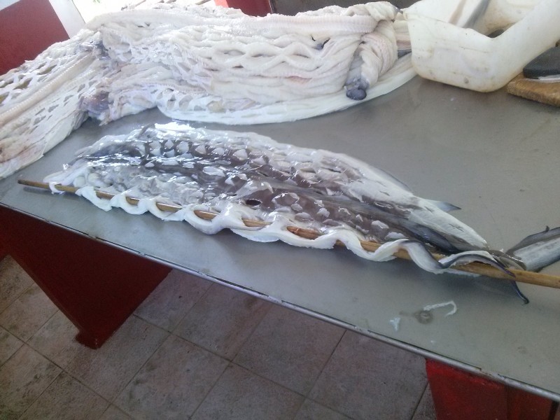 SECADO 2